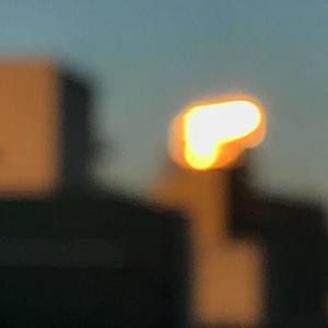 乱伦母亲日屄毛茸茸的好舒服
